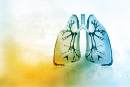 Analysing percutaneous lung biopsy