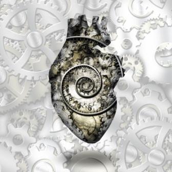 Human heart gears and time spirial