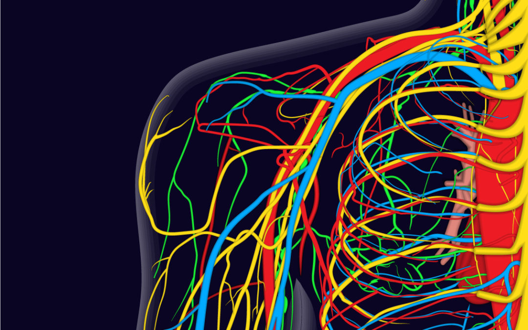 A panorama of radial nerve pathologies- an imaging diagnosis: a step ahead