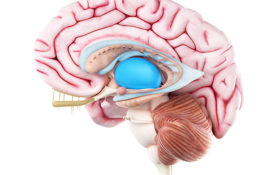 Neuroimaging of thalamic lesions